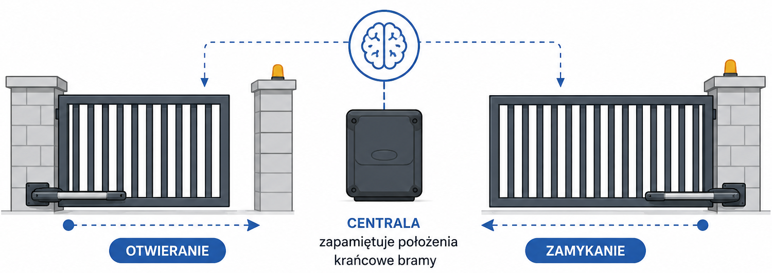 162a1ea3-3cae-4f4a-ba8d-c5e2de7bfc7d.png 162a1ea3-3cae-4f4a-ba8d-c5e2de7bfc7d.png