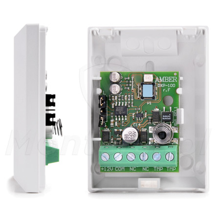 amber-czujka-ruchu-pir