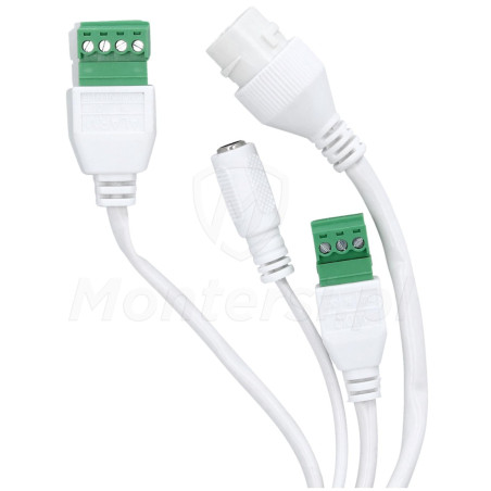 BCS-P-PEIP2X4FCR3L3-Ai1 - złącza