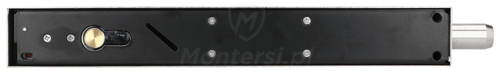 EB-1900 - Elektrozamek trzpieniowy