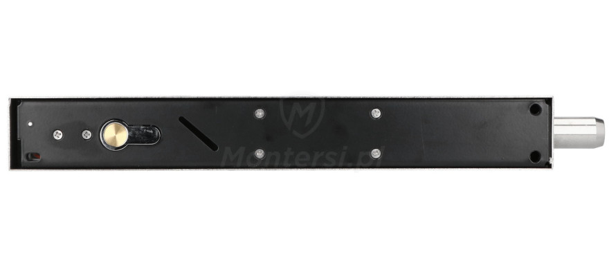 eb-1900-elektrozamek-trzpieniowy