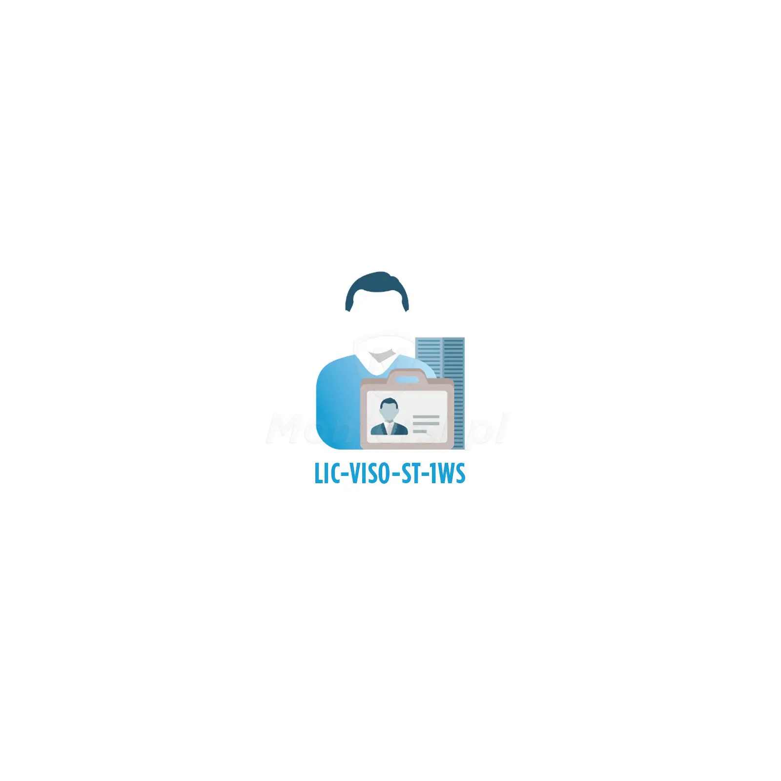 lic-viso-st-1ws-licencja-na-dodatkowa-stacje-operatora-viso-st