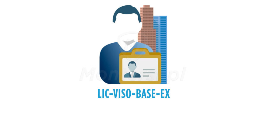 lic-viso-base-ex-licencja-na-program-viso-ex-32-przejscia-1000-uzytkownikow
