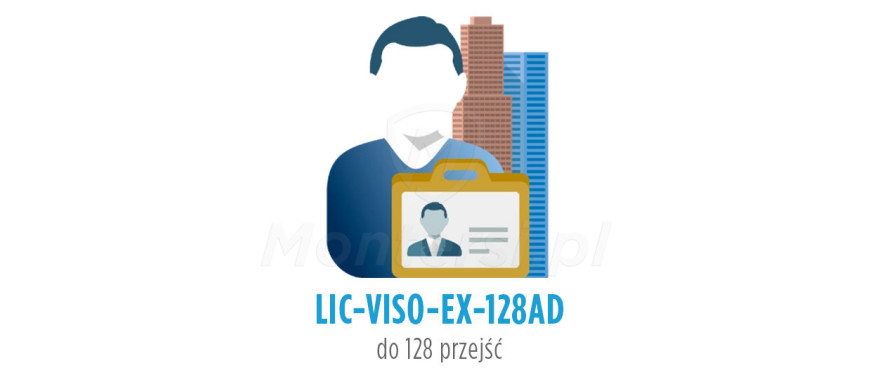lic-viso-ex-128ad-licencja-na-dodatkowe-128-przejsc-w-viso-ex