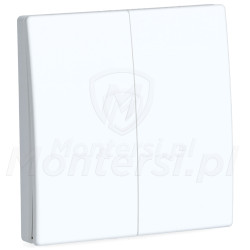 s2-4-kanalowy-pilot-scienny-elmes