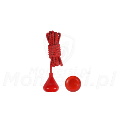 pilot-awaria-433mhz-proxima