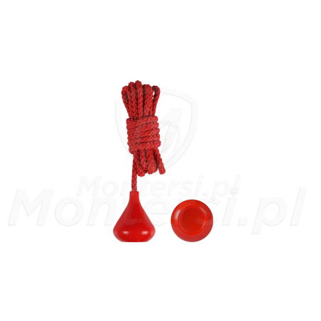 pilot-awaria-433mhz-came-space