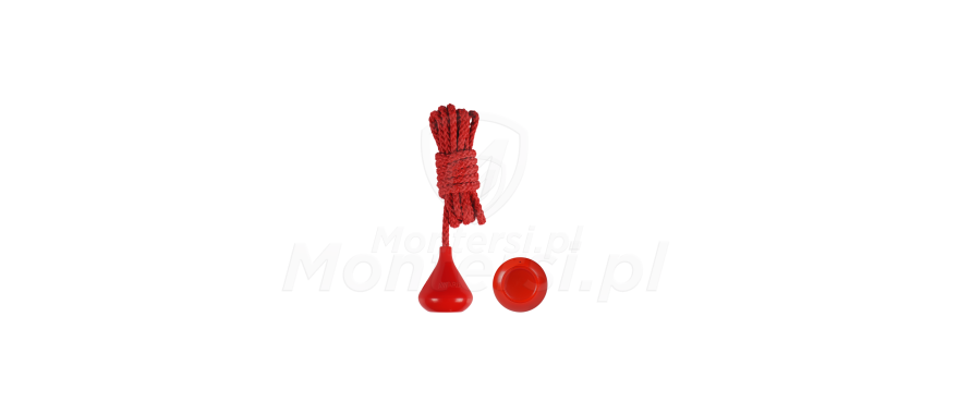 pilot-awaria-433mhz-came-space