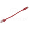 patchcord-u-utp-kat6-dlugosc-025m-czerwony