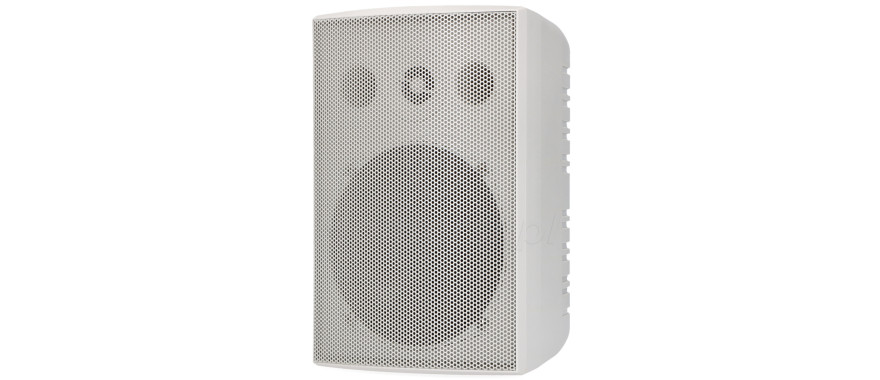 esp-250-ws-glosnik-nascienny-pa-100-v-8-ohm-50-40-30-20-10-w-ip65
