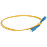 Patchcord