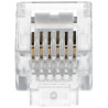 wtyk-rj12