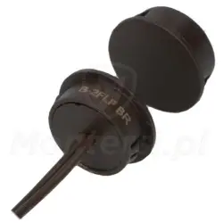 b-2flf-br-czujka-magnetyczna