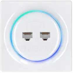 fgweeu-021-gniazdo-sieciowe-2x-rj-45-walli-n