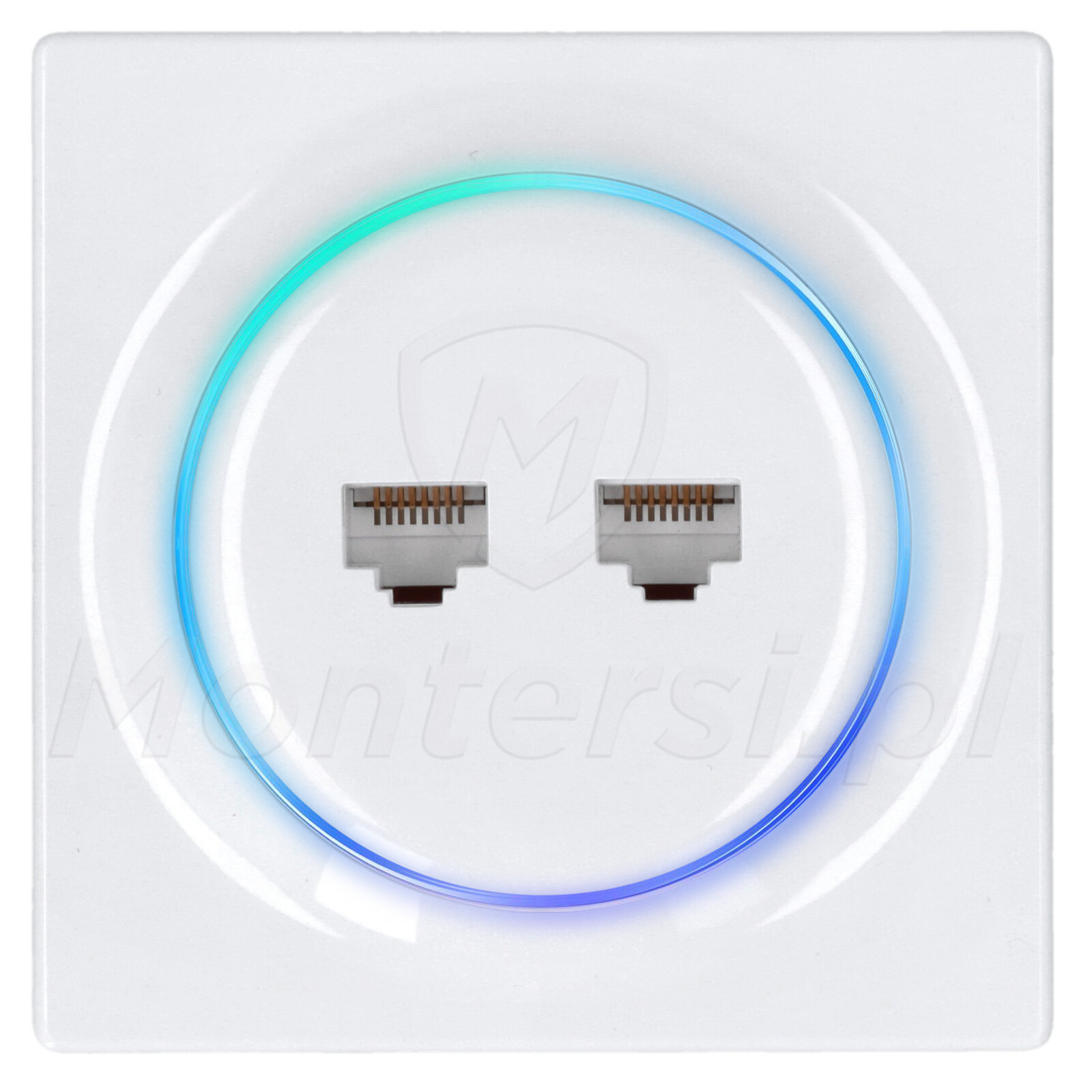 fgweeu-021-gniazdo-sieciowe-2x-rj-45-walli-n