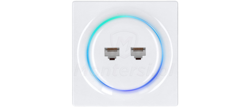 fgweeu-021-gniazdo-sieciowe-2x-rj-45-walli-n