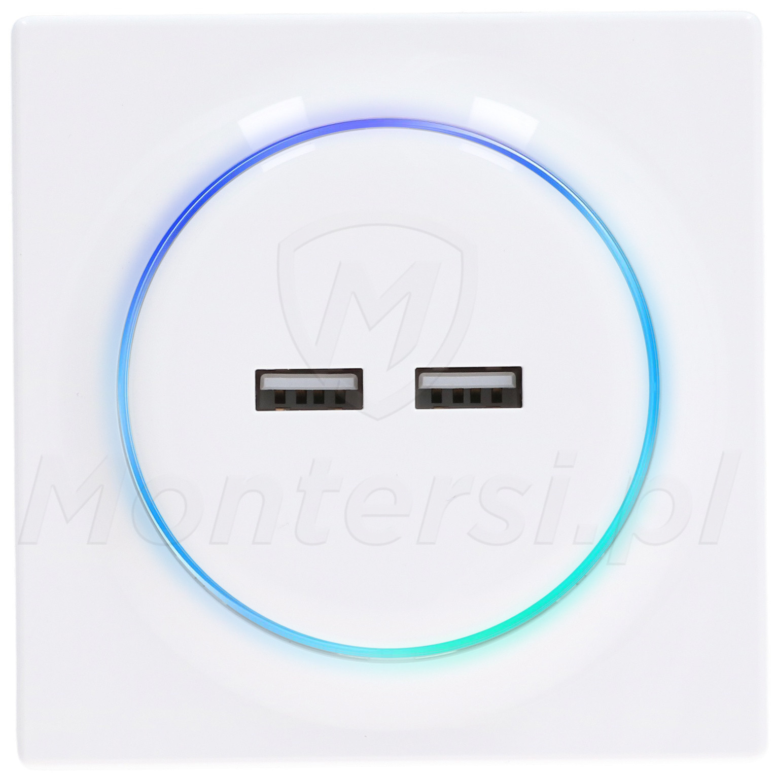 FGWU-021 - Ładowarka USB Walli N