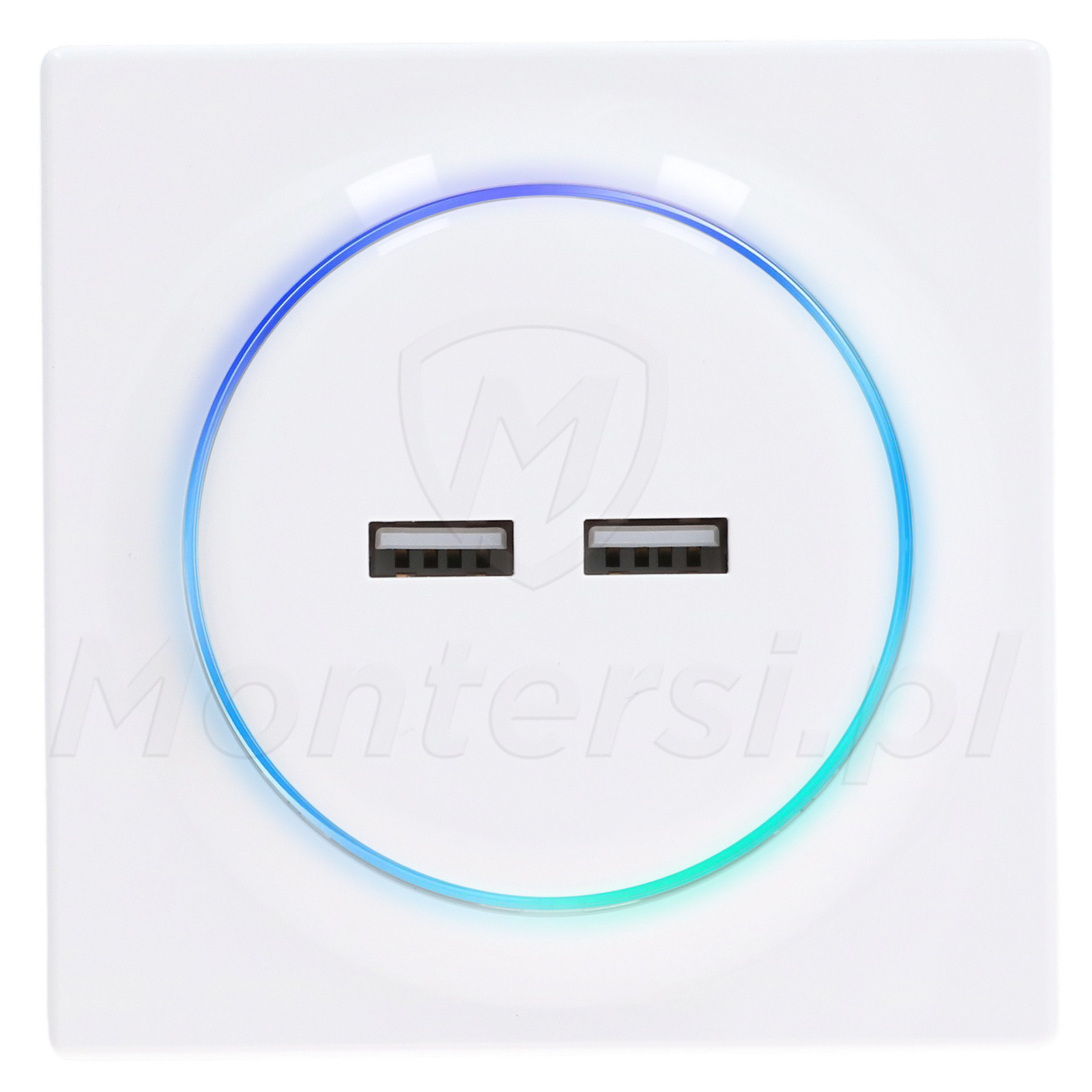 fgwu-021-ladowarka-usb-walli-n