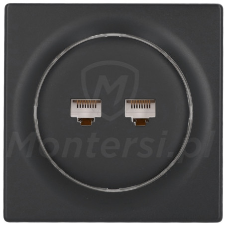 fgweeu-021-8-gniazdo-sieciowe-2x-rj-45-walli-n