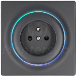 fgwsone-011-8-gniazdo-230-v-ac-typu-e