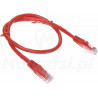 Czerwony patchcord UTP 0.5m Czerwony patchcord UTP 0.5m