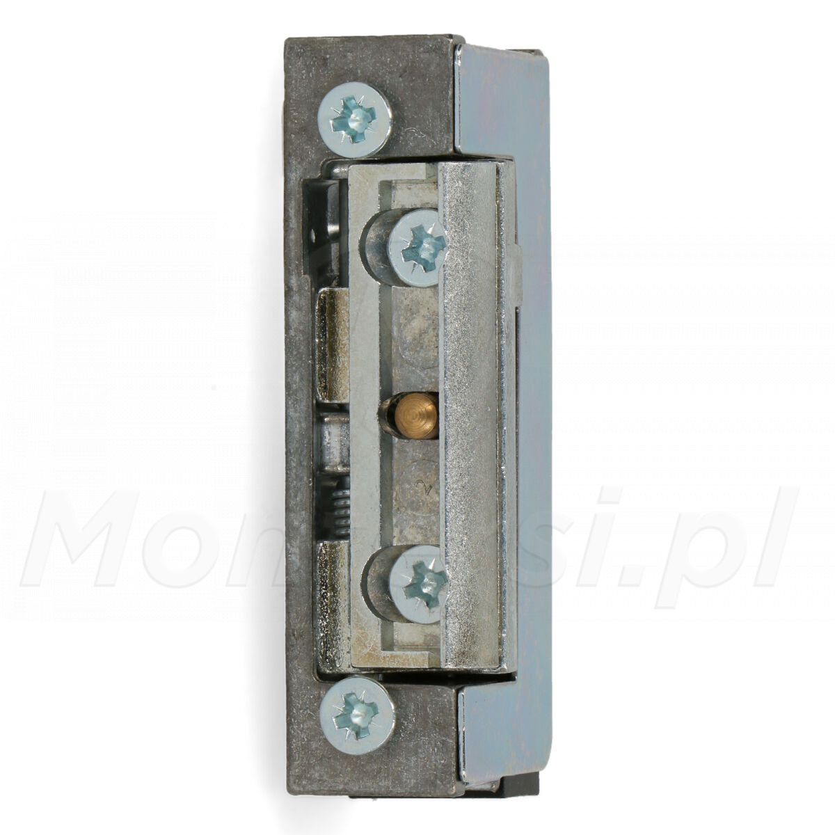 R5-12.30 - Elektrozaczep z pamięcią