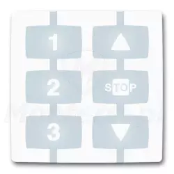 Pilot radiowy WM003C1G