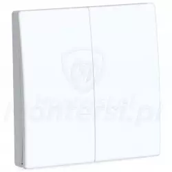 S2 - 4-kanałowy pilot ścienny CAME SPACE