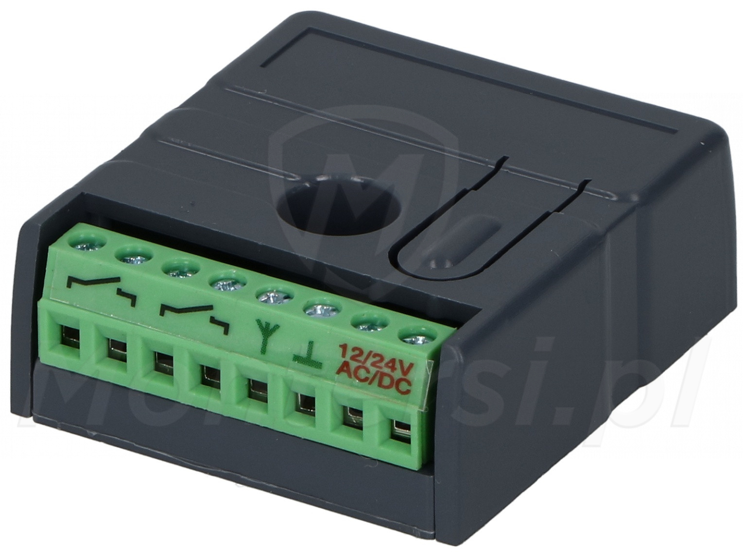 NW2 - 2 kanałowy odbiornik HomeCar EU