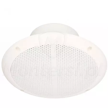 SPE-265/WS