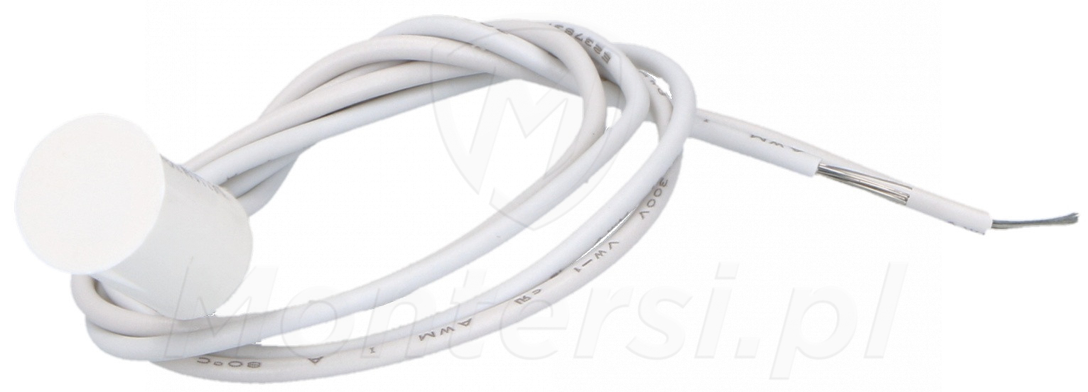 ISN-CMINI-10DW - Czujka magnetyczna, wpuszczana