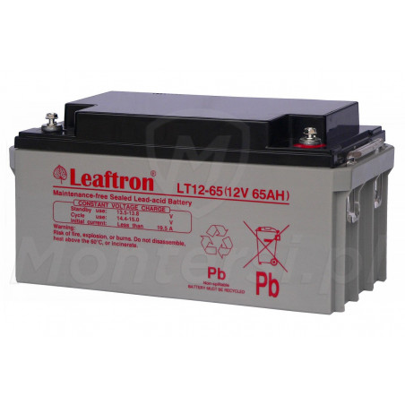 Akumulator bezobsługowy LTL12-65