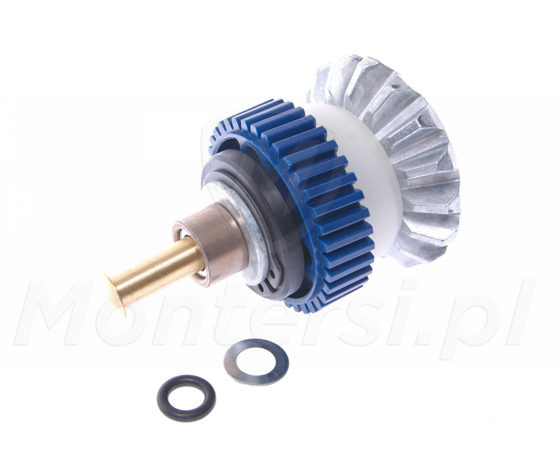 PRWNG05 - Zespół ślimacznicy WG2024/3524