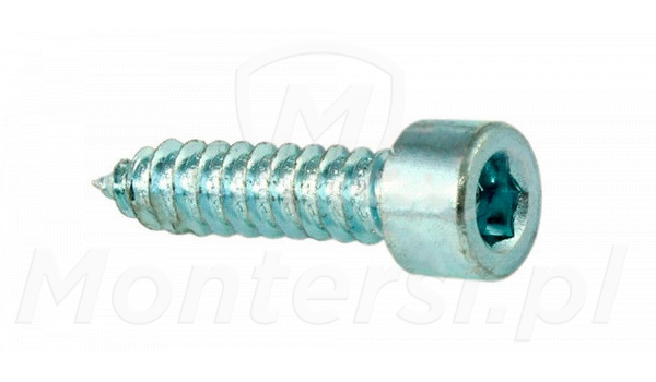 V6.3X19.5101 - Wkręt obrotowy V6.3X19.5101 - Wkręt obrotowy