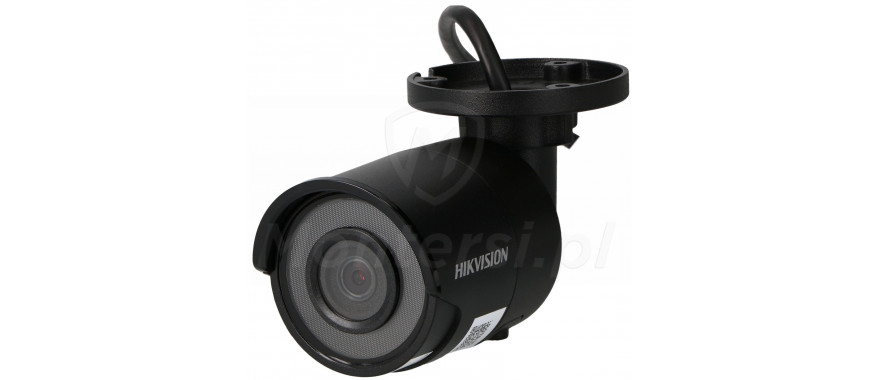 Tubowa kamera IP DS-2CD2043G0-I(BLACK)