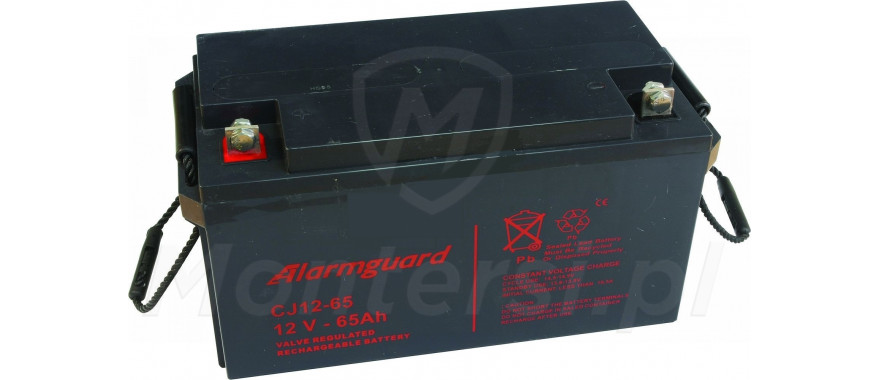 Alarmguard CJ12-65