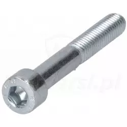 Śruba mocująca V8X55.5102