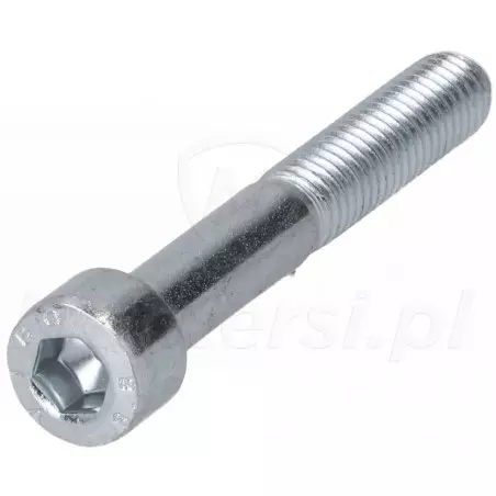 Śruba mocująca V8X55.5102