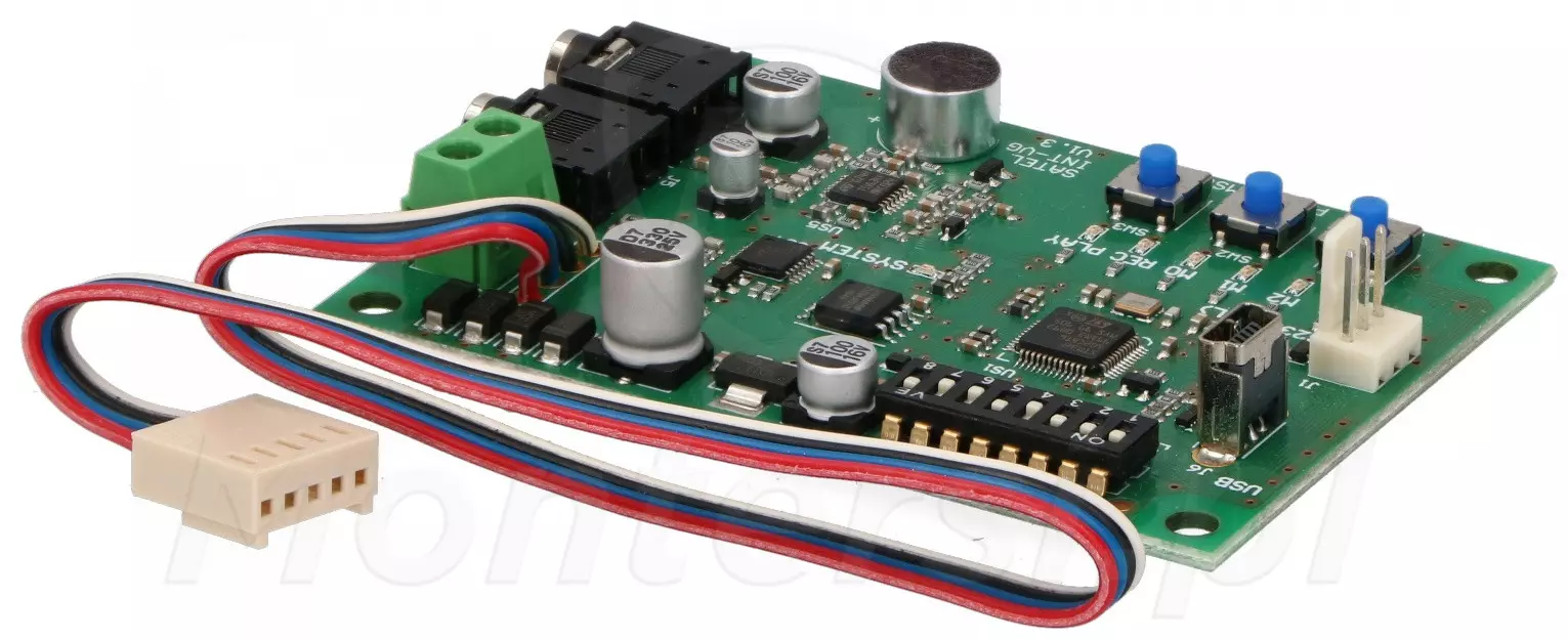 INT-VG - Moduł głosowy