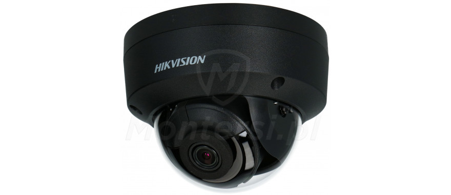 Wandaloodporna kamera IP DS-2CD2143G2-I(S)