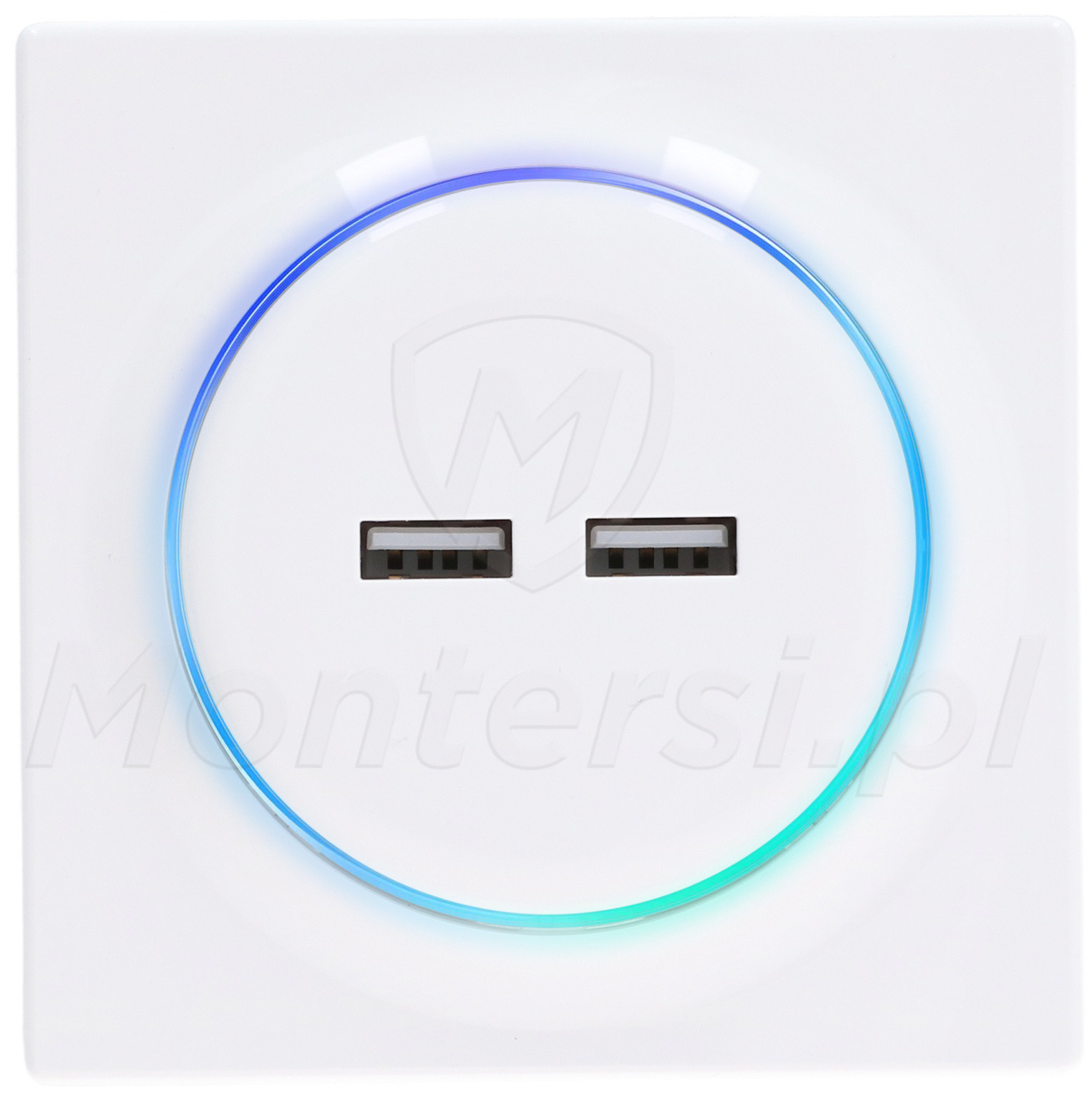 FGWU-021 - Ładowarka USB Walli N FGWU-021 - Ładowarka USB Walli N