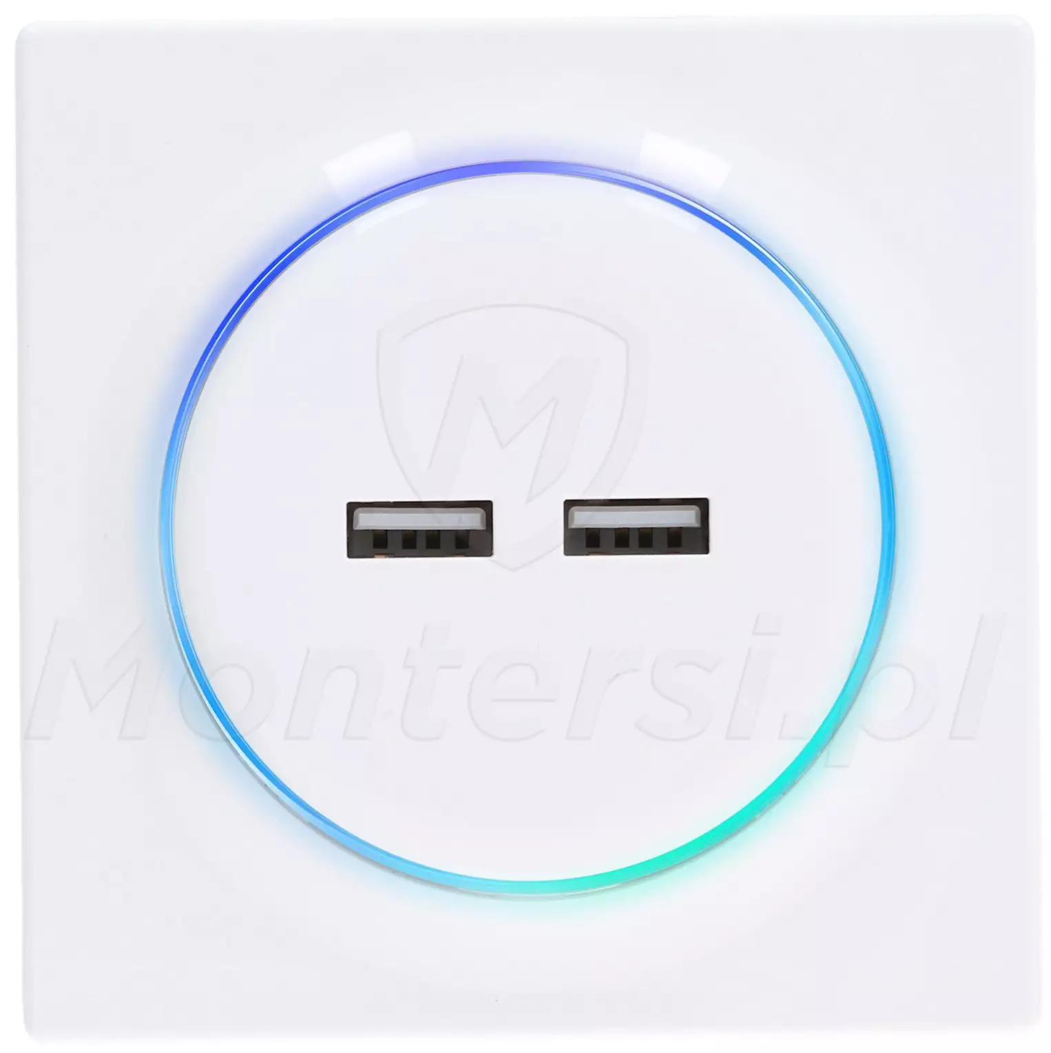 FGWU-021 - Ładowarka USB Walli N