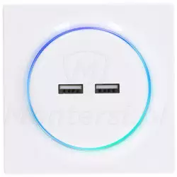 FGWU-021 - Ładowarka USB Walli N