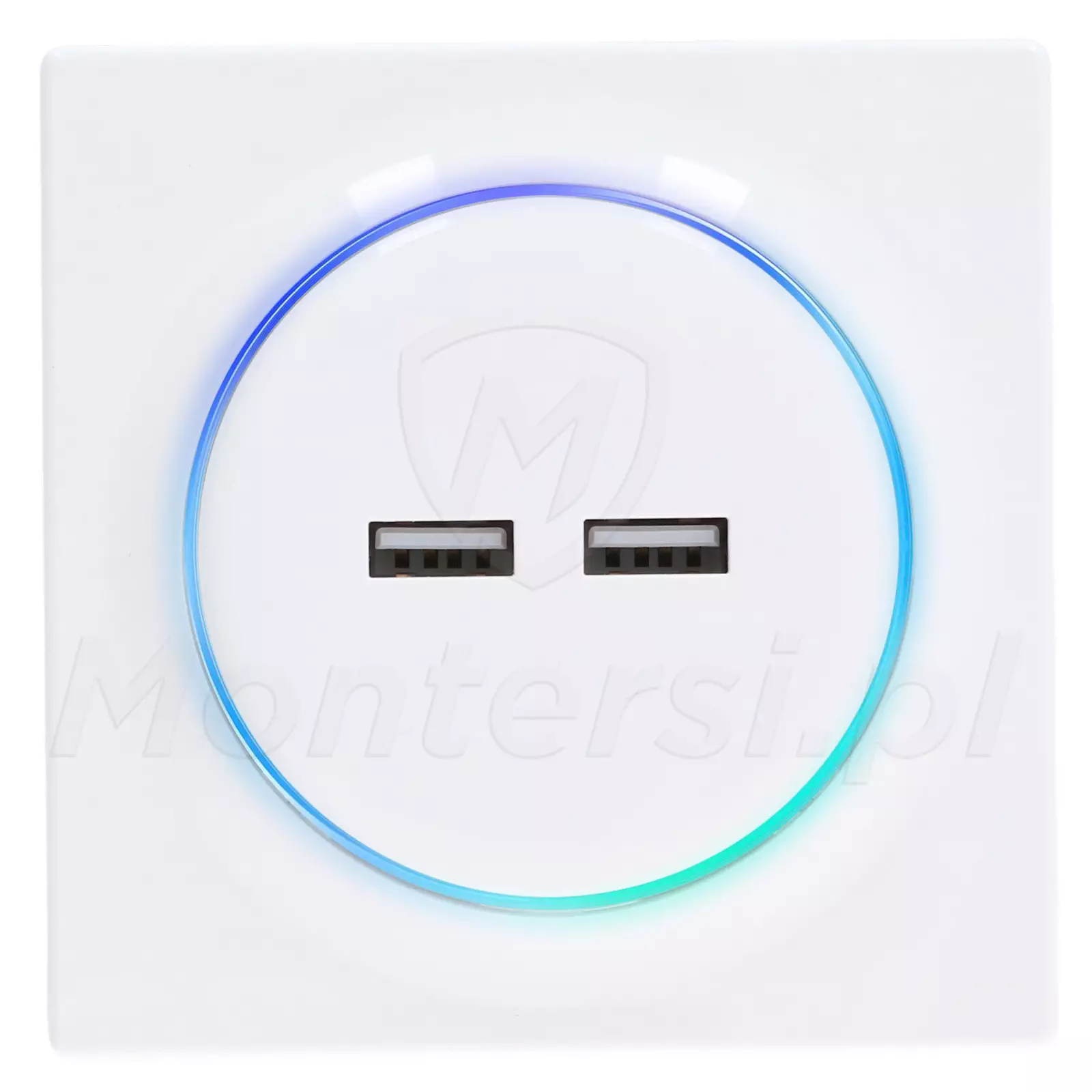 FGWU-021 - Ładowarka USB Walli N