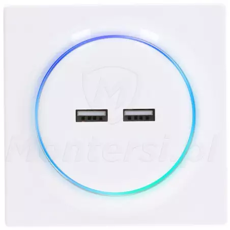 FGWU-021 - Ładowarka USB Walli N