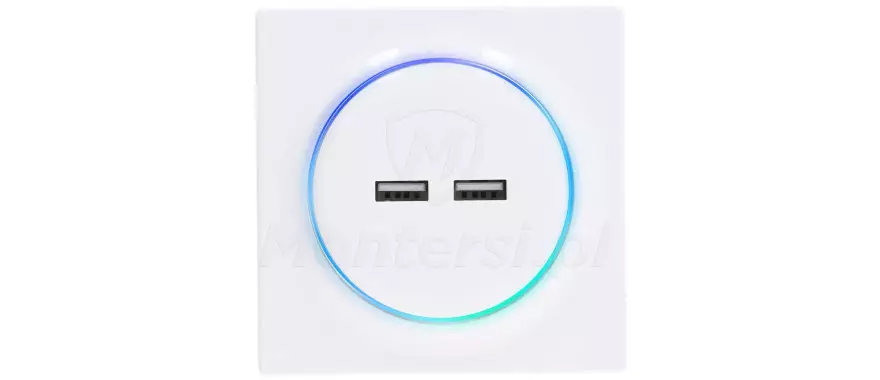 FGWU-021 - Ładowarka USB Walli N