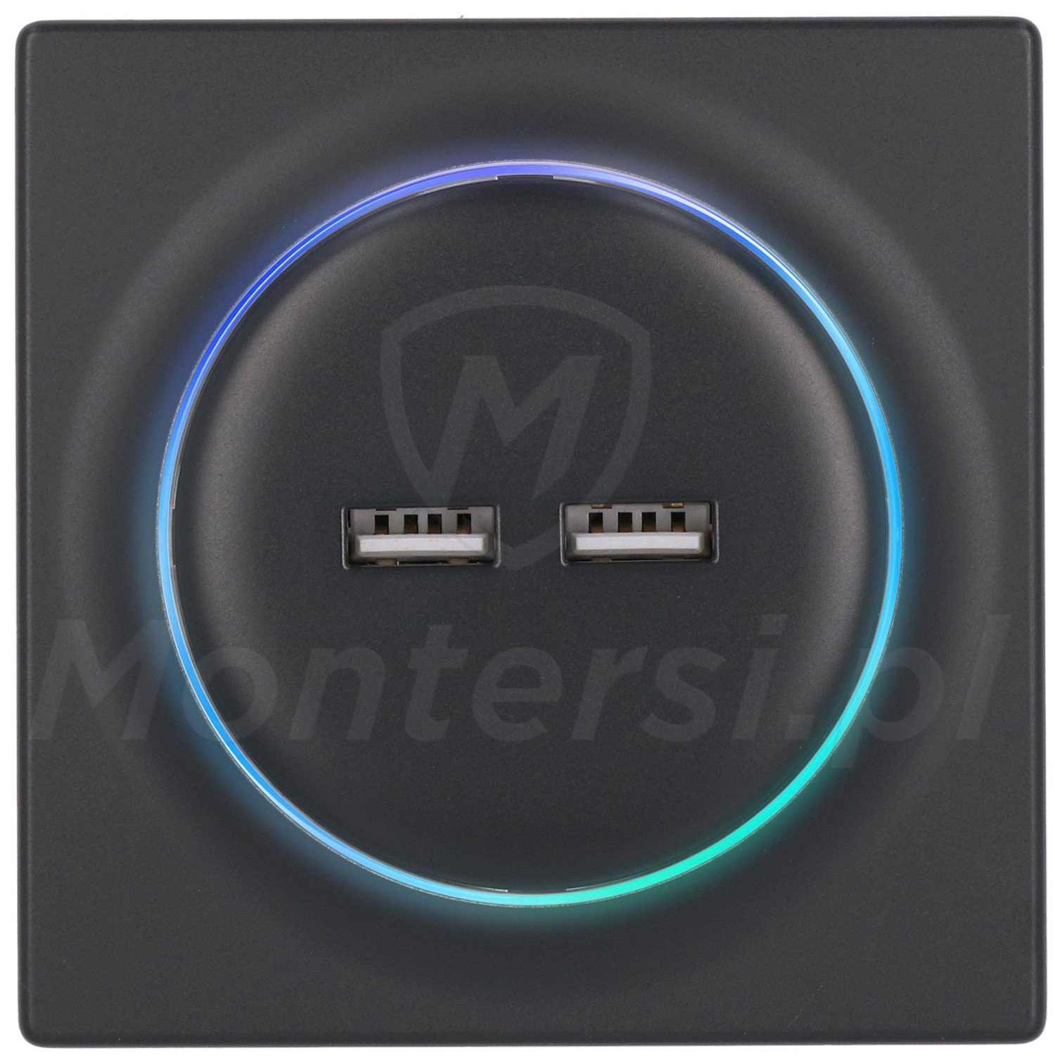 FGWU-021-8 - Ładowarka USB Walli N FGWU-021-8 - Ładowarka USB Walli N