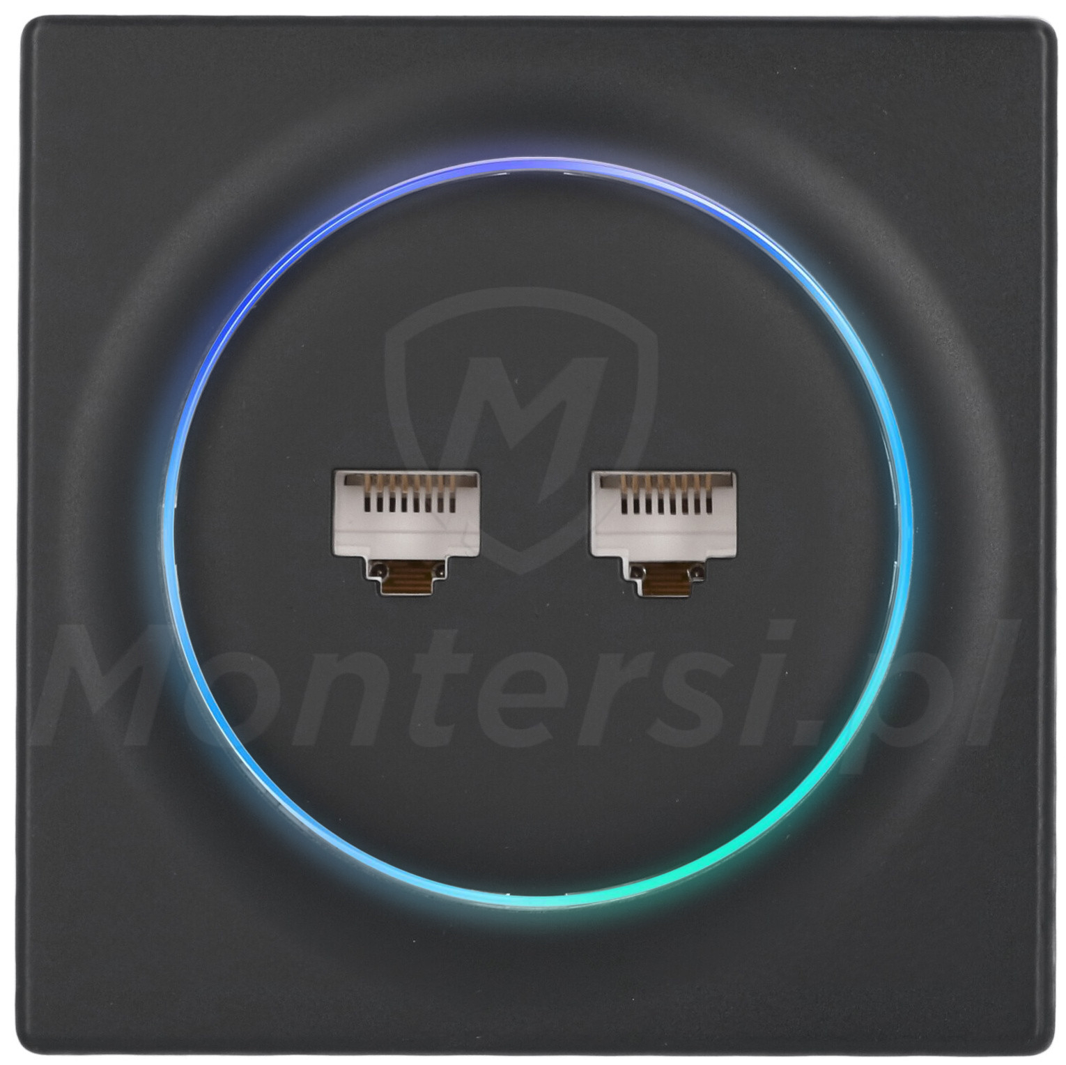 FGWEEU-021-8 - Gniazdo sieciowe 2x RJ-45, Walli N FGWEEU-021-8 - Gniazdo sieciowe 2x RJ-45, Walli N