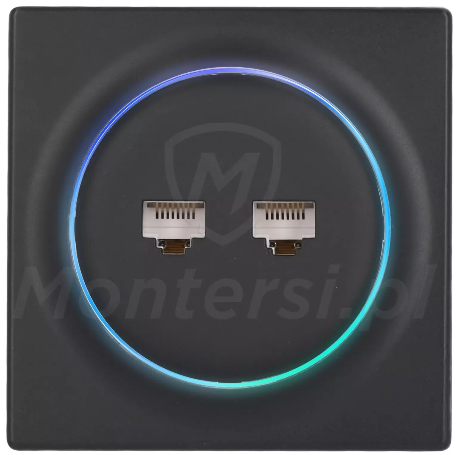 FGWEEU-021-8 - Gniazdo sieciowe 2x RJ-45, Walli N