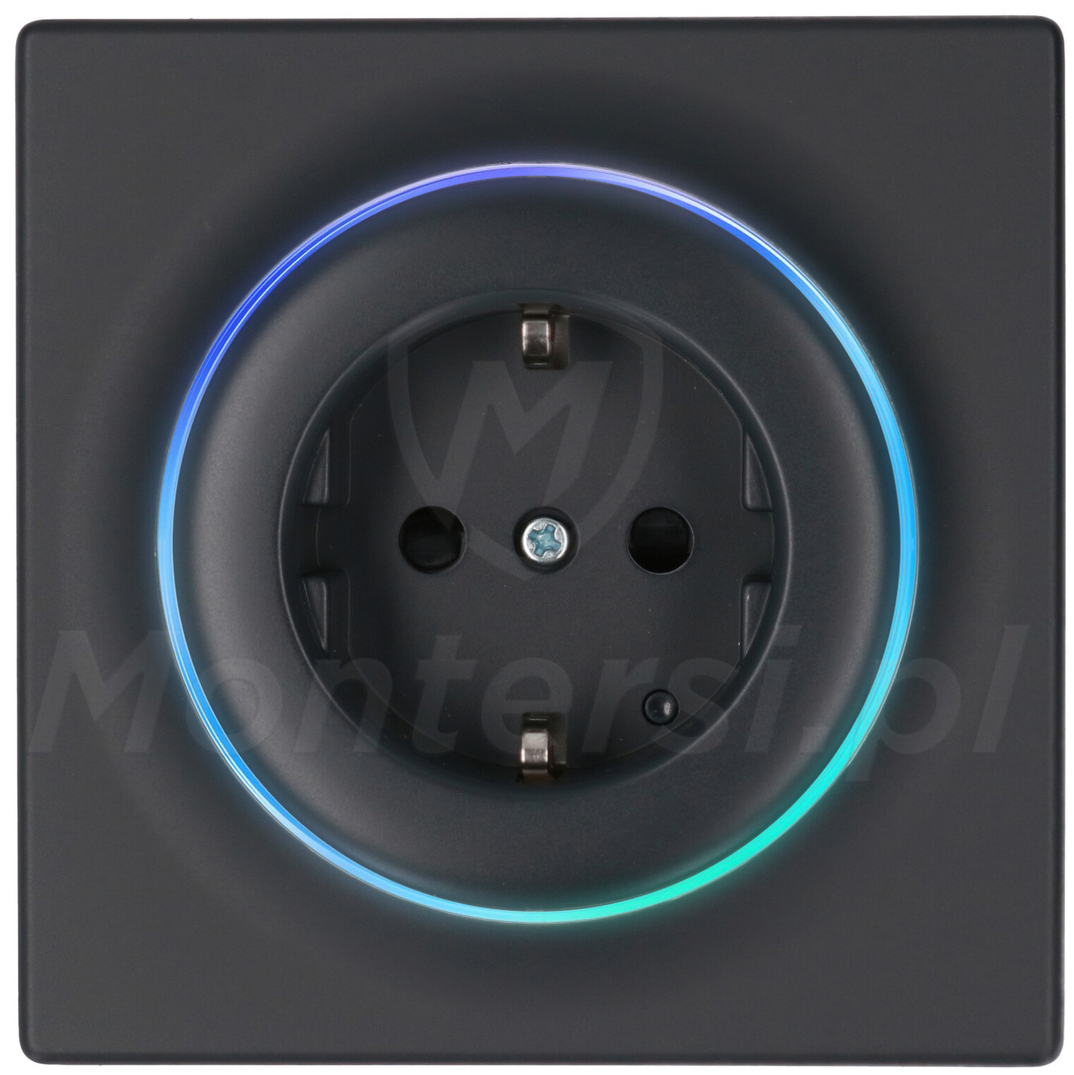 FGWOF-011-8 - Bezprzewodowy moduł Walli Outlet typ F FGWOF-011-8 - Bezprzewodowy moduł Walli Outlet typ F